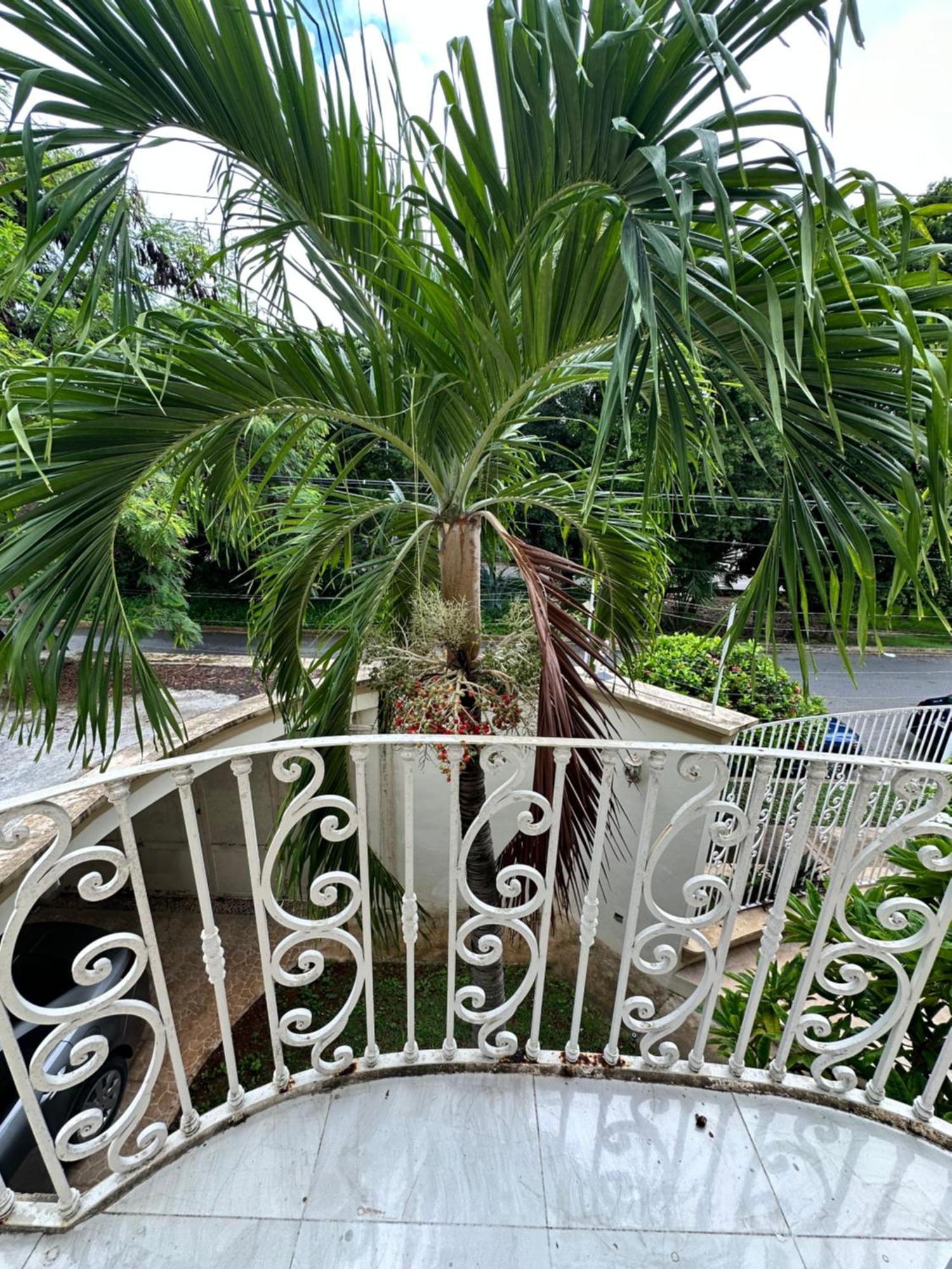 Casa Sasha'S Mini Palace Cancún Zewnętrze zdjęcie